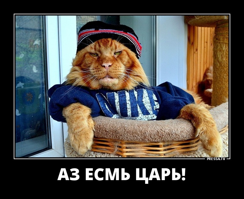 Позитивные летние демотиваторы о жизни Позитивные летние демотиваторы о жизни