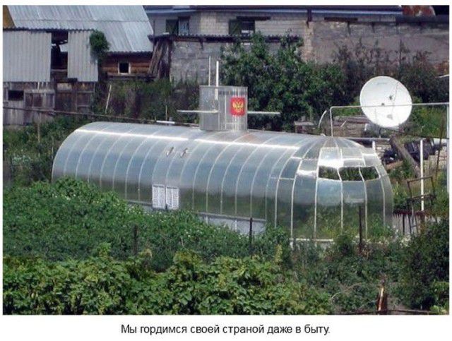 Мы живём в самой прекрасной стране на свете... интересное, знаменитости, красота, демотиваторы, красотка, животные, девушки, приметы