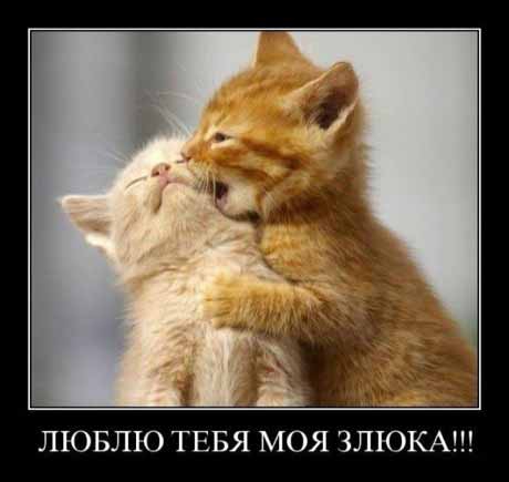 Ох уж эти женщины. " из инета"