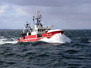 ����������� ����������껅 �� �������?