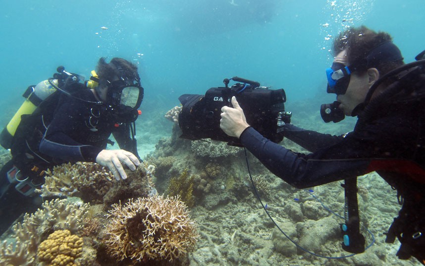 Explore coral reefs 14 Коралловые рифы в фотографиях