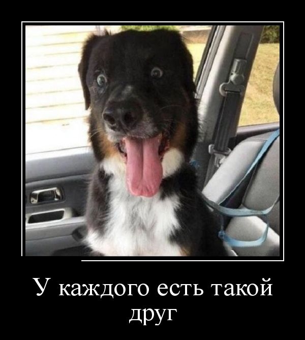 Демотиваторы Демотиваторы