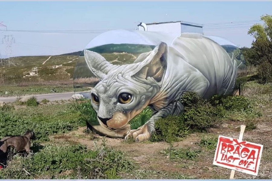 Снимок.JPG Брагадо и кот