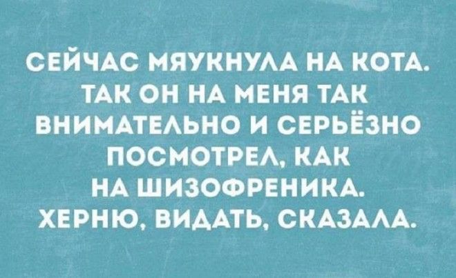 Забавные истории для отличного настроения