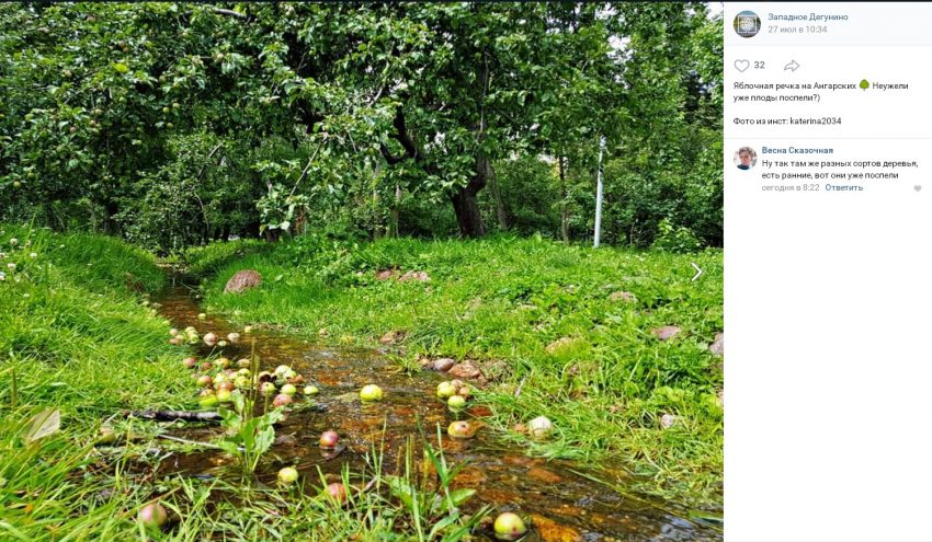 Фото дня: фруктовая река