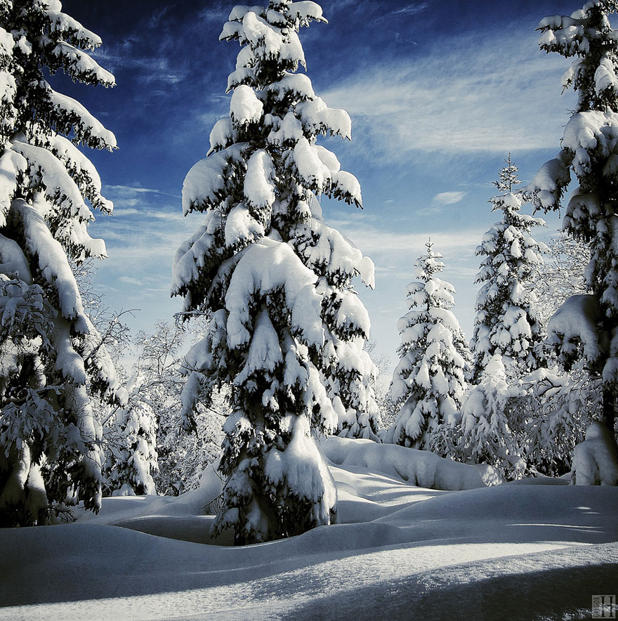 Gorgeous Winter Landscapes 12   