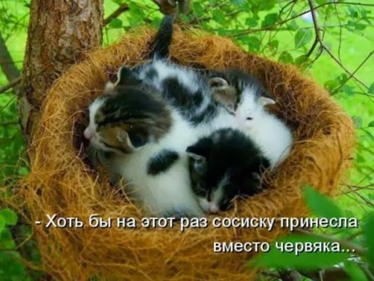 2a26b689a8ee695051183e52ba7_prev