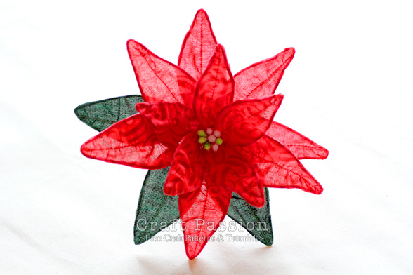 Translucent Effect Of Fabric Poinsettia