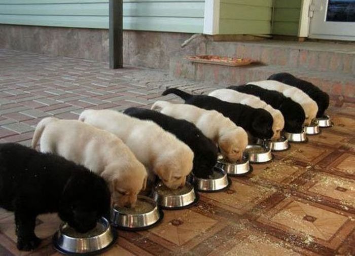 Коллекция эмоциональных снимков