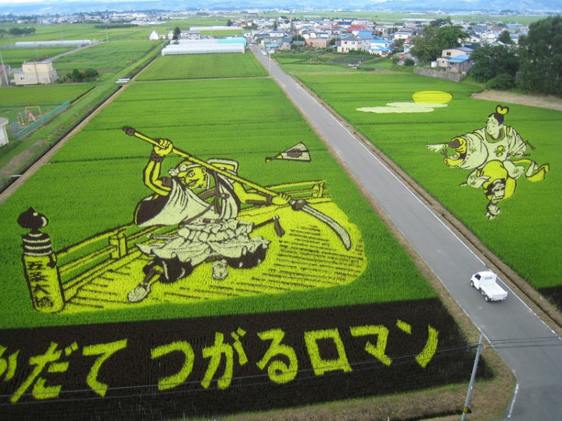 Искусство тамбо — невероятные картины на рисовых полях Японии