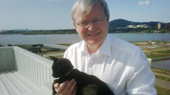 ����� ����������� � �������-���������