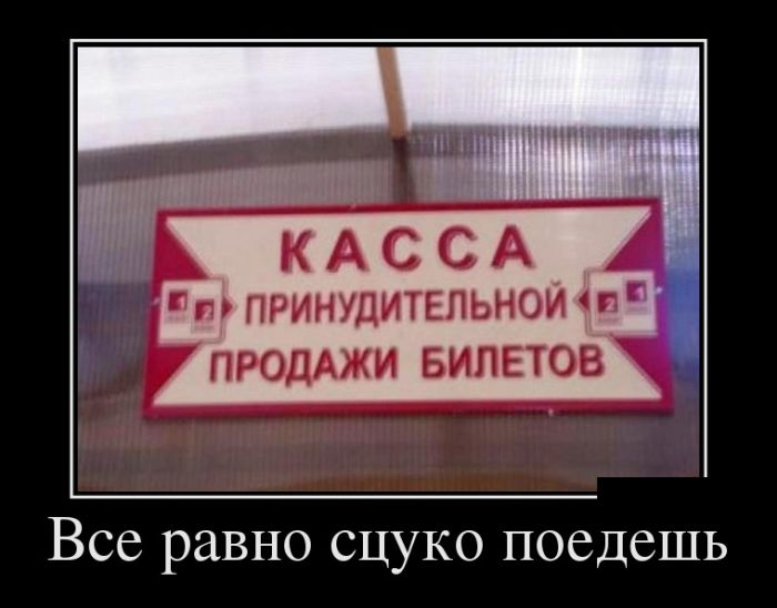 Позитивные и веселые демотиваторы для улыбки (11 фото) Позитивные и веселые демотиваторы для улыбки (11 фото)