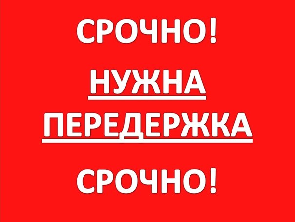 Помогите! Это очень срочно! На улице шесть беззащитных малышей! Помогите! Это очень срочно! На улице шесть беззащитных малышей!