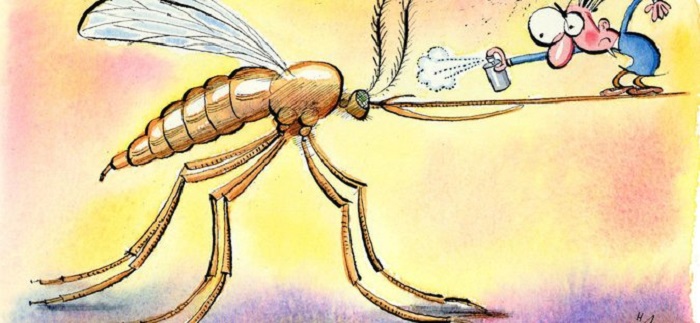 Как спастись от зуда после укуса комара. | Фото: theislandjournal.files.wordpress.com.