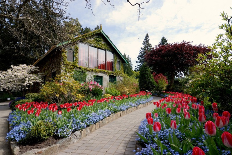   (Butchart Gardens),  , 