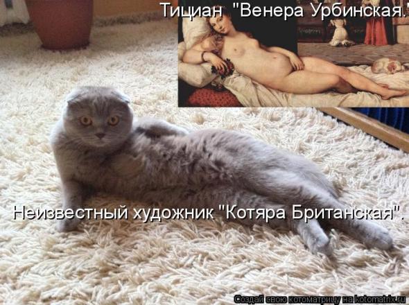 Котоматрица