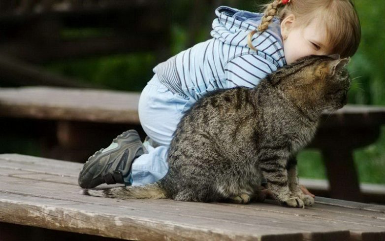 Как использовать котов в хозяйстве) Как использовать котов в хозяйстве)