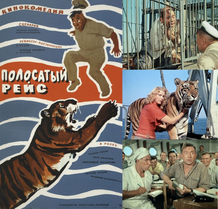 Масло ЧАЙНОЕ ДЕРЕВО - «Вылечила грибок ногтей!» Отзывы покупателей