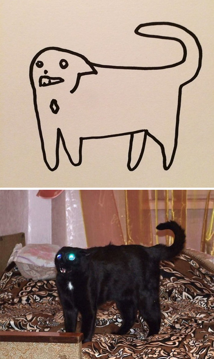 Poorly Drawn Cat