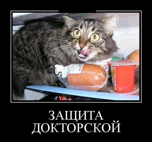 Демотиваторы Демотиваторы