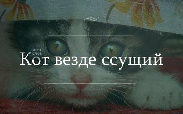 Игра слов и никакого мошенничества Игра слов и никакого мошенничества
(18 фото)