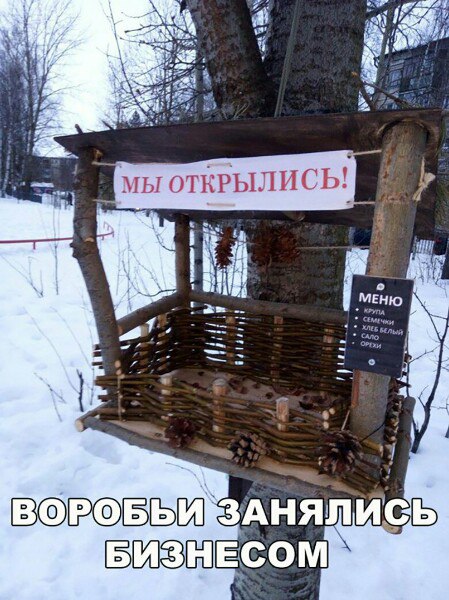 Немного ехидства, сарказма, стёба и даже чистого юмора вам в ленту!!! Немного ехидства, сарказма, стёба и даже чистого юмора вам в ленту!!!