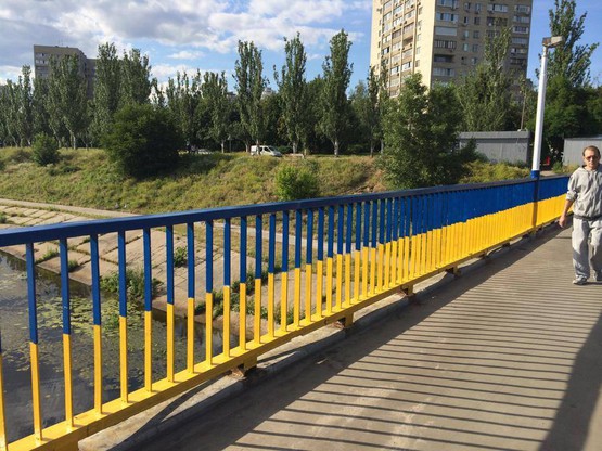 Жительница Киева покрасила козу в цвета флага Украины