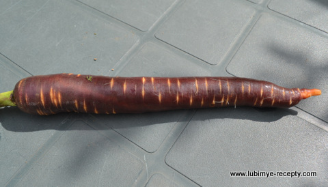 Ассорти на зиму 5