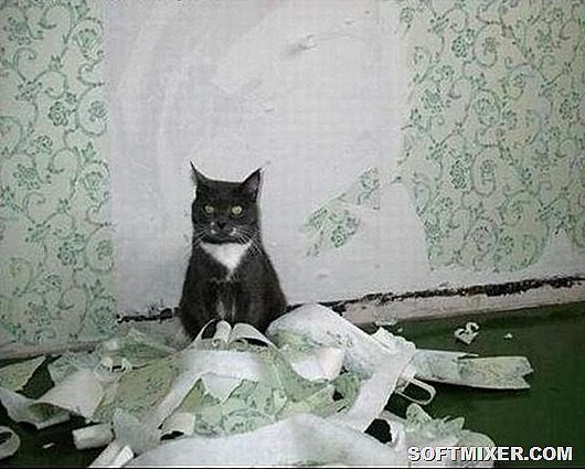 Мстят ли животные?