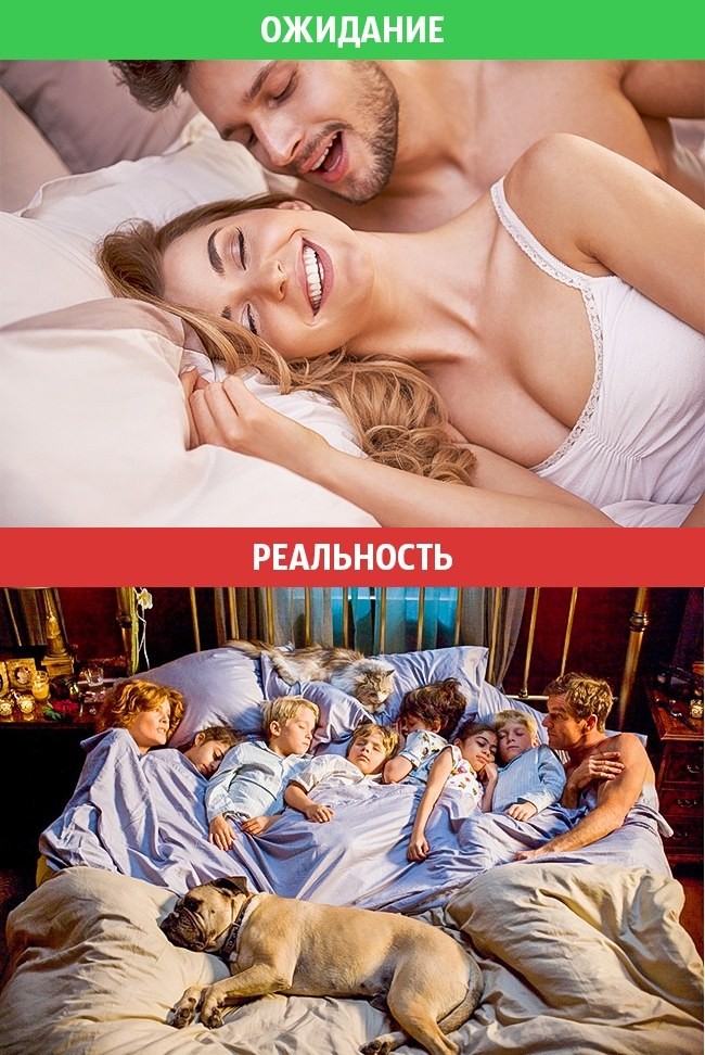 Идеальная семейная жизнь: ожидание vs. реальность Идеальная семейная жизнь: ожидание vs. реальность