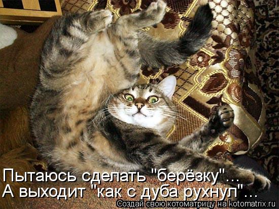 Котоматрица 30 (550x413, 62Kb)