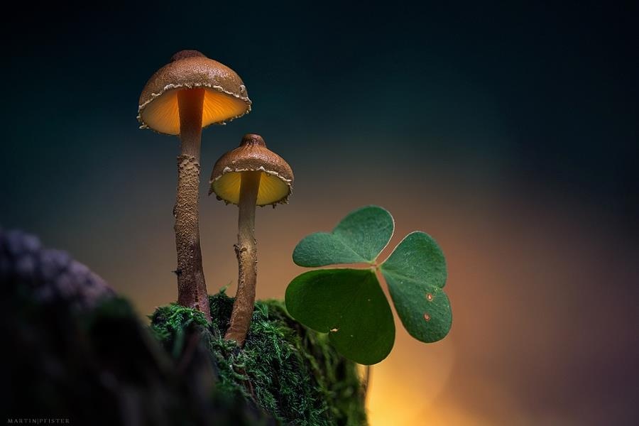 25 поразительных фотографий 25 поразительных фотографий