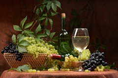 Что такое зеленое вино и как его подавать к столу?(Denis Vrublevski, Shutterstock)