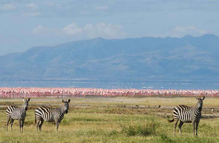 Озеро Маньяра ozero-manyara