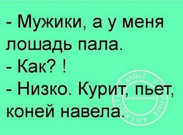 Приятель у меня профи по всякой там ботанике. Середина лета...