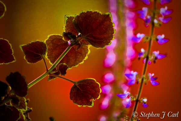 Картинка 336 из 10412