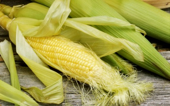 Кукуруза и кукурузные рыльца в рецептах народной медицины