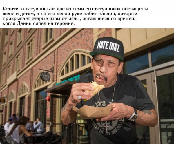 Интересные факты из жизни актера Дэнни Трехо Интересные факты из жизни актера Дэнни Трехо