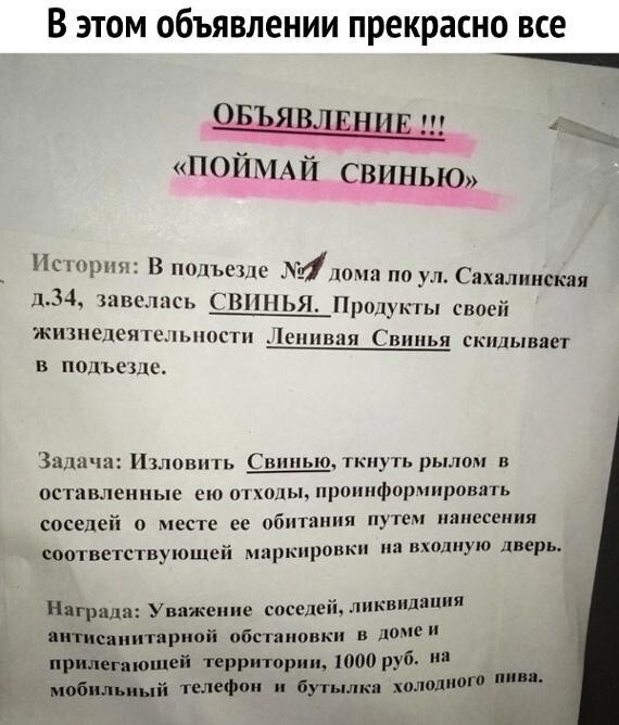 Соседи на тропе войны Соседи на тропе войны
(19 фото)
