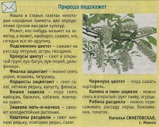 Природные подсказки Природные подсказки