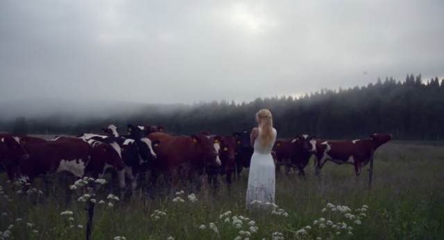 Сказочные звуки: видео пения женщин викингов, звавших скот домой