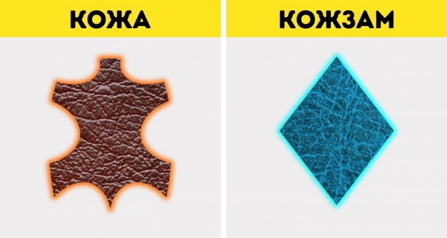 10 разновидностей натуральной кожи и как быстро отличить ее от кожзама 10 разновидностей натуральной кожи и как быстро отличить ее от кожзама