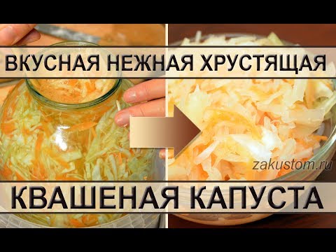 Вкусная хрустящая квашеная капуста в банках Вкусная хрустящая квашеная капуста в банках