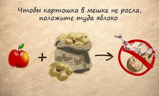 11 хитростей в картинках для настоящей хозяйки, которые упростят твою жизнь. 11 хитростей в картинках для настоящей хозяйки, которые упростят твою жизнь.