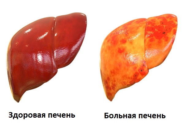 ÐоÐÐÐÐ½Ñ Ð¿ÐÑÐни