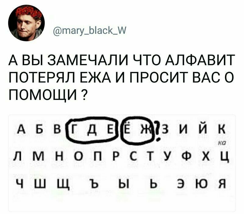 Помогите ежику! Внезапные истины, которыми люди делятся в интернете
(17 фото)