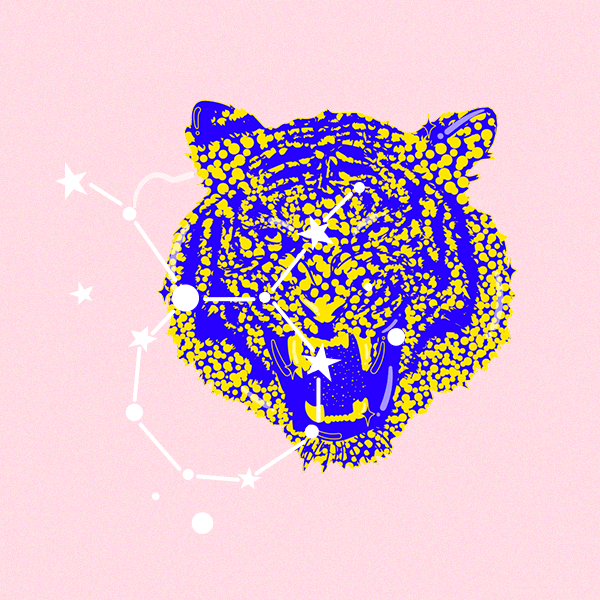 Телец-Тигр