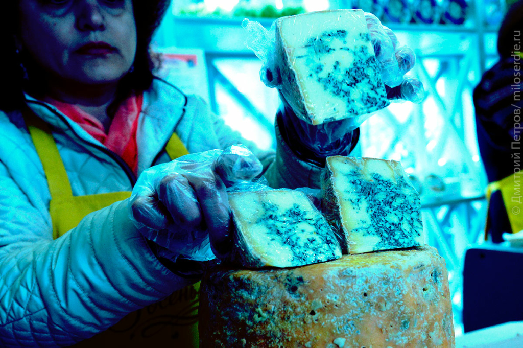 Коллаж. Плесень 