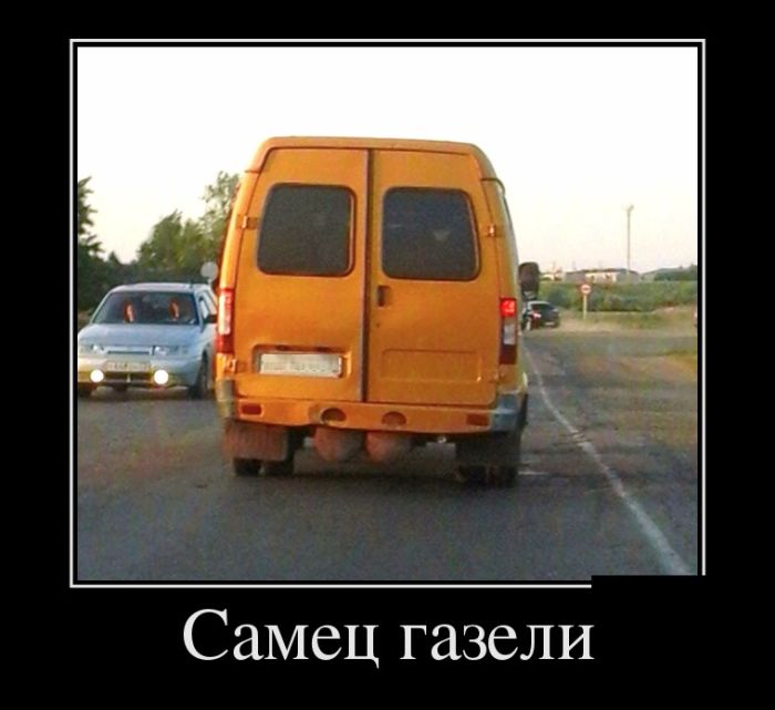 Свежие демотиваторы для веселого настроения (11 фото) Свежие демотиваторы для веселого настроения (11 фото)