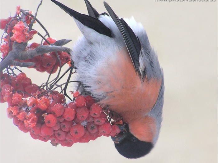 �� ������� �������...